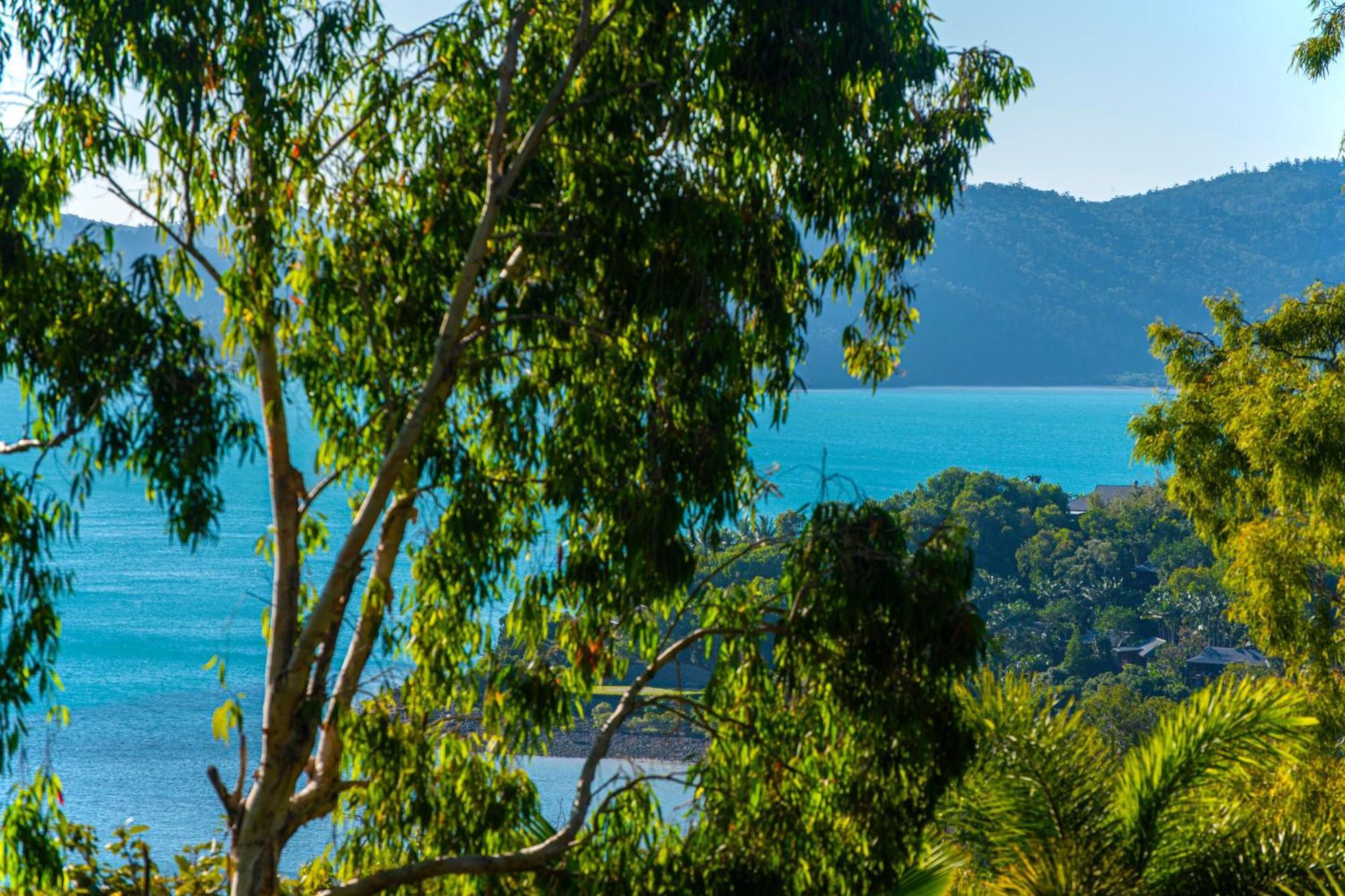 Sunset Waters Apartments Hamilton Island Zewnętrze zdjęcie